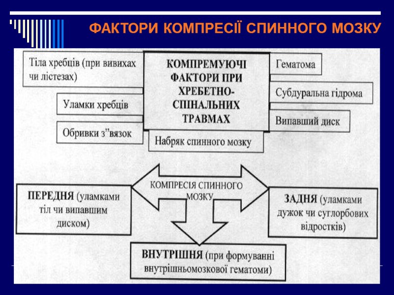 ФАКТОРИ КОМПРЕСІЇ СПИННОГО МОЗКУ